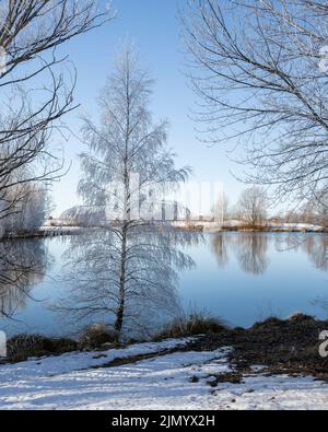 Arbres couverts de givre à Kellands Pond, Twizel, Nouvelle-Zélande. Format vertical. Banque D'Images