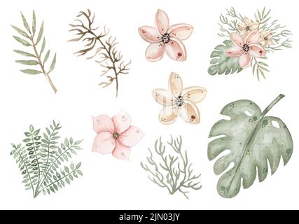 Aquarelle délicate feuilles et fleurs ensemble d'illustration, fleurs tropicales bouquet clipart pour la crèche et la douche de bébé. Banque D'Images