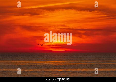 Magnifique coucher de soleil d'été sur la plage de la mer Baltique Banque D'Images