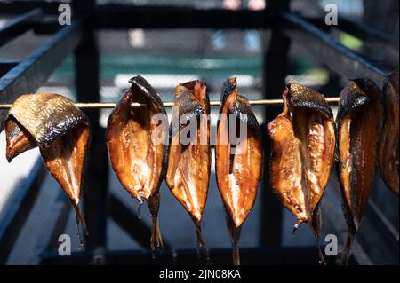 Ancien fumoir hollandais traditionnel sombre dans le village de pêcheurs de Horth Holland - des rangées de poissons fumés accrochés à des brochettes Banque D'Images