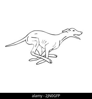 Dessin d'un animal de compagnie à la main Vector Running whippet Dog isolé sur fond blanc Illustration de Vecteur