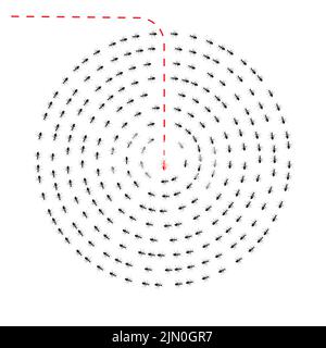 Colonie ant. Les travailleurs se marchent, l'un de changer de direction. Soyez vous-même, pensez différemment concept. Hors de la ligne, innovation, unique, leadersh Illustration de Vecteur