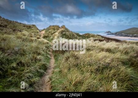 Un sentier à travers le système délicat de dunes de sable à Crantock Beach, à Newquay, en Cornouailles. Banque D'Images