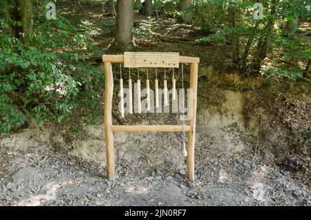 Kleiner Wäller Klangpfad pour les touristes, instrument de musique en bois surdimensionné le long d'un sentier de randonnée à Westerwald, Rhénanie-Palatinat, Allemagne, Europe Banque D'Images