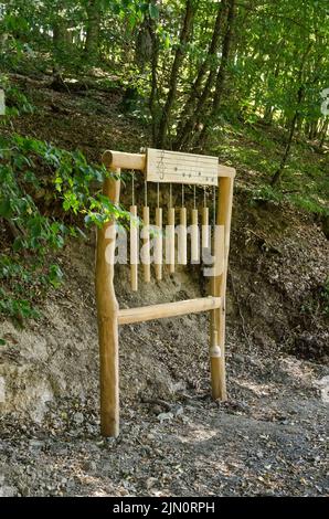 Kleiner Wäller Klangpfad pour les touristes, instrument de musique en bois surdimensionné le long d'un sentier de randonnée à Westerwald, Rhénanie-Palatinat, Allemagne, Europe Banque D'Images