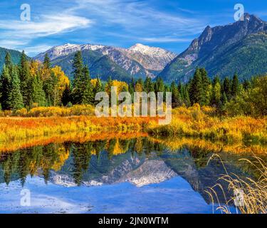 les couleurs d'automne et les montagnes de l'armoire se reflètent dans un marécage de vallée de rivière taureau près de troy, montana Banque D'Images