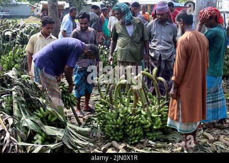 Le plus grand marché traditionnel de bananes du Bangladesh dans le district de Madhupur de Tangail. Les agriculteurs vendent ces fruits populaires directement aux grossistes. Les bananes d'une valeur de 8 lakhs à 10 lakhs sont vendues quotidiennement. 05 août 2022. Photo de Habibur Rahman/ABACAPRESS.COM Banque D'Images
