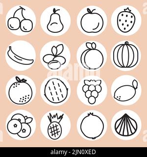 Ensemble de seize icônes de fruits. Fruits contours noirs sur les autocollants blancs, fond beige. Alimentation saine alimentation aux fruits. Illustration vectorielle. Illustration de Vecteur