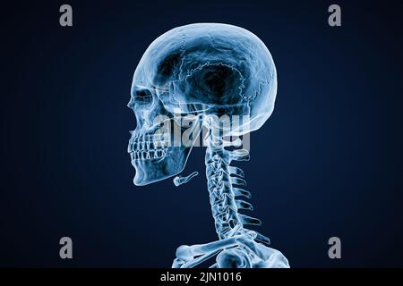 Image radiographique de la vue latérale ou de profil du crâne d'un homme adulte sur fond bleu 3D illustration de rendu. Anatomie, médecine, médecine, science, ostéol Banque D'Images