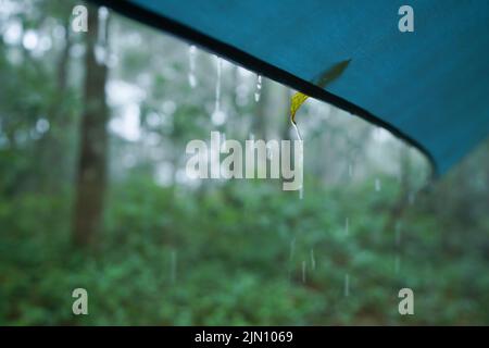 Gouttes de pluie sur toile de camping dans la nature Banque D'Images