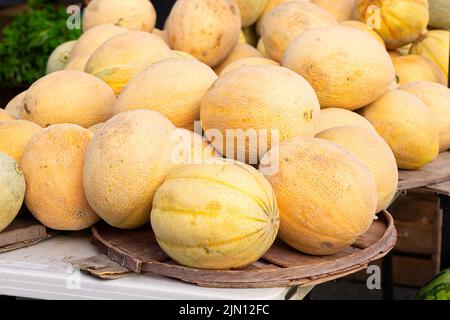 Cantaloups locaux à vendre sur le marché d'un agriculteur local Banque D'Images