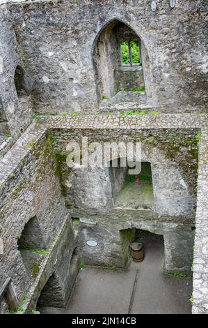 BLARNEY, IRLANDE. 13 JUIN 2022. Vue intérieure du château détruit de Blarney Banque D'Images