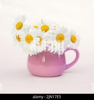 Bouquet de pâquerettes blanches délicates dans une belle tasse rose. Banque D'Images