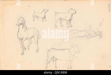 Titz Oskar (1845-1887), sketchbook (sans date): Croquis d'animaux. Crayon sur papier, 13,7 x 21,7 cm (y compris les bords de numérisation) Titz Oskar (1845-1887): Skizzenbuch Banque D'Images