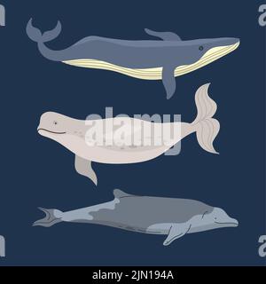 les baleines font la mer avec trois icônes d'animaux Illustration de Vecteur