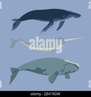 trois baleines font la mer et sont des icônes d'animaux Illustration de Vecteur