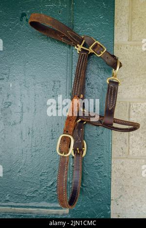 Image en gros plan d'une bride en cuir ou d'un haltère à cheval suspendu sur un mur stable Banque D'Images