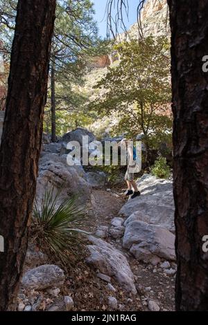 Femme randonneur sur la piste Devil's Hall dans les montagnes Guadalupe Banque D'Images