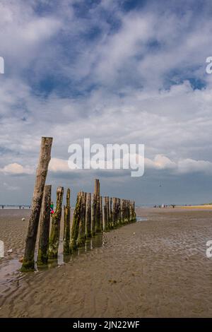 Le Breakwater sur West Wittering Beach près de chichester dans West Sussex, Royaume-Uni Banque D'Images