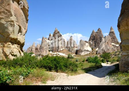 plantes et belles formations rocheuses dans la 'vallée des mots' cappadoce, turquie Banque D'Images