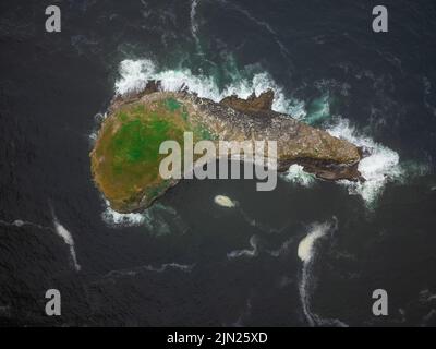 Île en pierre en forme de gros poisson, recouverte de mousse verte dans l'océan. Vue aérienne. La beauté et le mystère de la nature. Voyages, tourisme, écologie Banque D'Images