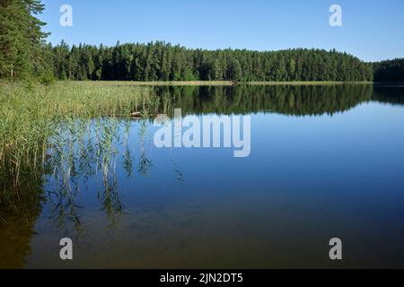 Lac Niedrājs, paroisse de Launkalnes, région de Smiltenes, Lettonie Banque D'Images