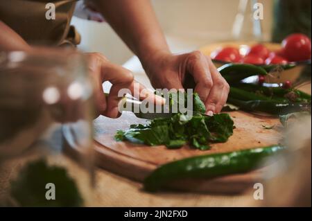 Gros plan de la femme de ménage hachant des herbes fraîches sur une planche de bois tout en préparant la saumure pour le pickling à la cuisine maison Banque D'Images