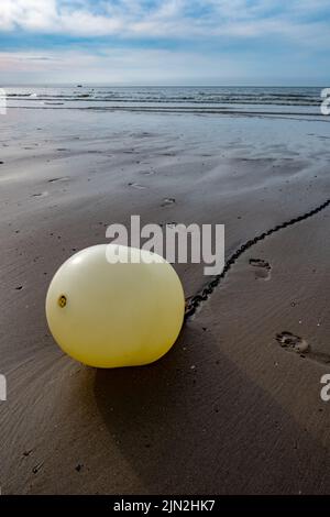 Bouée blanche sur une chaîne avec réflexion sur une plage à marée basse à Blankenberge, Belgique. Photo de haute qualité Banque D'Images