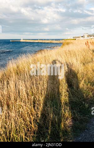 De longues ombres de deux personnes en plein soleil le soir à Seahouses, Northumberland, Angleterre, Royaume-Uni Banque D'Images