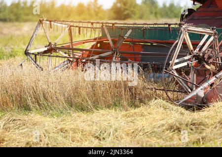 le gros plan de la moissonneuse-batteuse traverse lentement le champ et récolte le blé d'hiver. Culture de céréales dans la ferme. Récolte du grain. Nourriture Banque D'Images