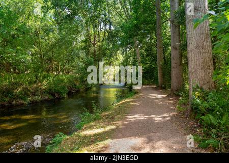 Promenade au bord de la rivière Arrow dans le domaine de Coughton court, Warwickshire. Banque D'Images