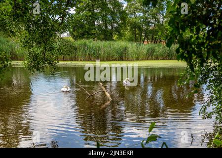 Promenade au bord de la rivière Arrow dans le domaine de Coughton court, Warwickshire. Banque D'Images