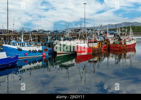 Bateaux de pêche dans le port de Mallaig, Highland, Ecosse Banque D'Images