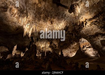 Grande chambre, Carlsbad Caverns National Park, New Mexico, USA Banque D'Images
