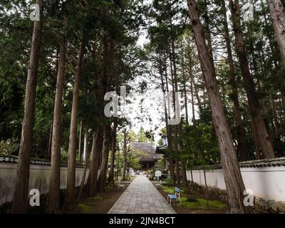 Nankoku, préfecture de Kochi, Japon - 6 avril 2018 : sur le terrain de Kokubunji, temple numéro 29 du pèlerinage de Shikoku Banque D'Images