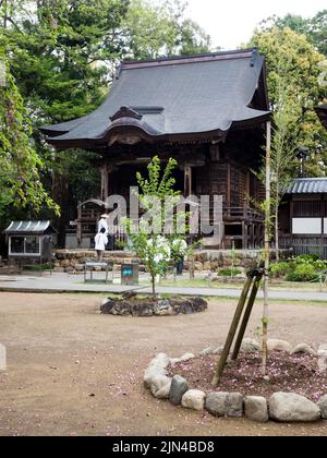 Nankoku, préfecture de Kochi, Japon - 6 avril 2018 : sur le terrain de Kokubunji, temple numéro 29 du pèlerinage de Shikoku Banque D'Images