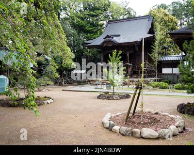 Nankoku, préfecture de Kochi, Japon - 6 avril 2018 : sur le terrain de Kokubunji, temple numéro 29 du pèlerinage de Shikoku Banque D'Images