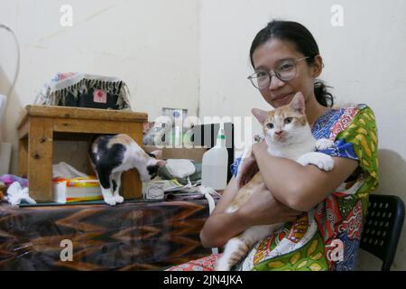 Pondok Kopi, Jakarta, Indonésie. 8th août 2022. Une femme vit côte à côte avec plus de 20 chats isolés chez elle à Jakarta sur 9 août 2022. La plupart des chats errants qui ont été sauvés étaient malades, ils ont donc été pris et soignés par nettoyage. Chats et traitement régulier pour que les chats puissent vivre à nouveau normalement. Actuellement, beaucoup de gens font des chats comme amis parce que les visages des chats sont des préoccupations pour les humains, comme la santé, la beauté et le développement des chats, non seulement les chats de race pure, mais aussi les chats sauvages sont également traités parce que les chats isolés ont un système immunitaire adaptatif. condition et pas facile de tomber malade. Banque D'Images