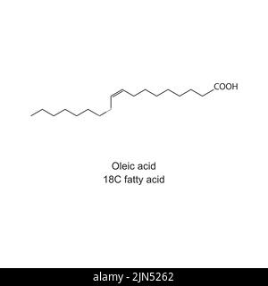 Structure chimique de l'acide oléique (18 acides gras carboniques) sur fond blanc. Illustration de Vecteur