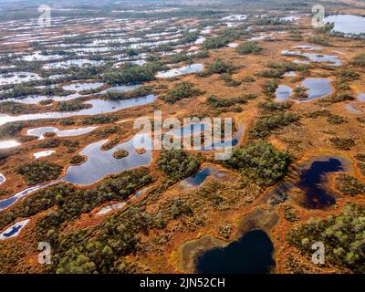 Marais, tourbières et lacs de la réserve naturelle estonienne de Kakerdaja. Vue aérienne de drone Banque D'Images