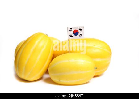 Récolte de melons d'été - Melons coréens de Ginkaku - Cucumis melo var. Makuwa isolé sur blanc Banque D'Images