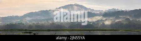 Vue panoramique de la forêt pluviale humide et brumeuse au lever du soleil sur le côté est du Rio Chagres dans le parc national de Soberania, République du Panama, Amérique centrale Banque D'Images