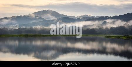 Vue panoramique de la forêt pluviale humide et brumeuse au lever du soleil sur le côté est du Rio Chagres dans le parc national de Soberania, République du Panama, Amérique centrale Banque D'Images