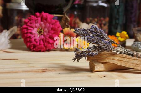 Fleur jaune avec roches de pyrite et cristaux DOF peu profond Banque D'Images