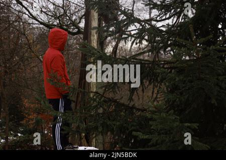 Un mâle avec un hoddie debout parmi les arbres dans une forêt Banque D'Images
