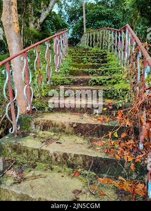 Un virage d'un parc abandonné. Le parc est sale et aucun nettoyage n'est fait pendant de nombreux jours Banque D'Images