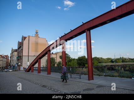 Un homme qui marche sur le pont Jordan à côté de la grande barrière métallique avec des pigeons assis près de l'île de Tumski. Banque D'Images