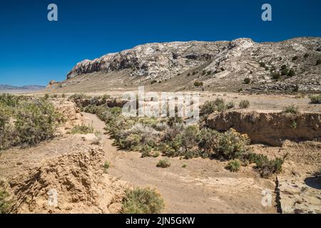 Golden Gate Range, lit sec de Cherry Creek, Seaman Wash Road in distance, Water Gap Area, Great Basin Desert, Basin and Range Natl mon, Nevada Banque D'Images