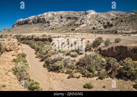 Golden Gate Range, lit sec de Cherry Creek, Seaman Wash Road in distance, Water Gap Area, Great Basin Desert, Basin and Range Natl mon, Nevada Banque D'Images