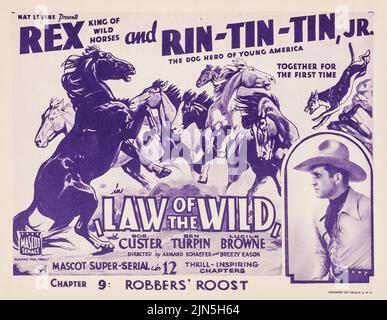 Rex Roi des chevaux sauvages et Rin-Tin-Tin - Loi de la nature (Mascot, 1934). Titre de la carte de lobby - Chapitre 9 - 'Robber's Roost.' Banque D'Images